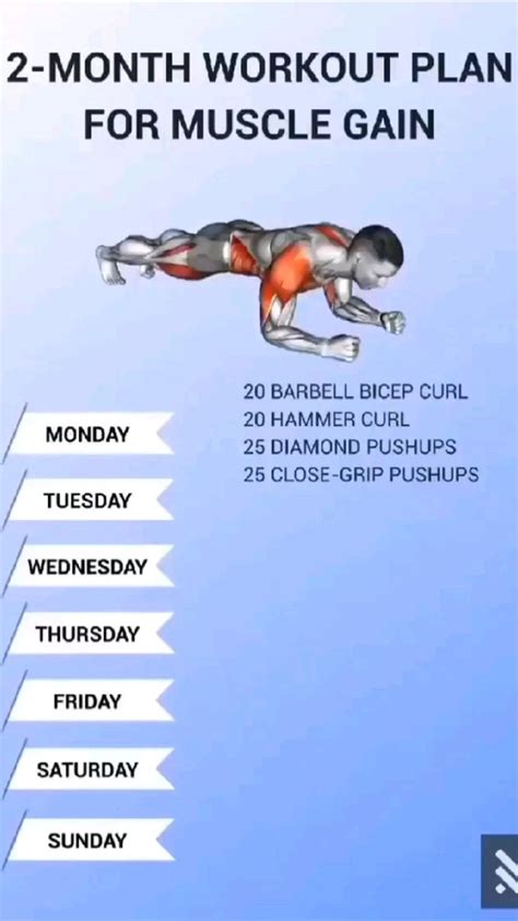 2 month workout routine.